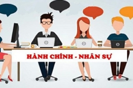 Dịch vụ hành chính nhân sự