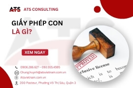 Giấy phép con là gì?