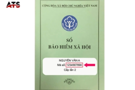 Mã Số Bảo Hiểm Xã Hội Là Gì?