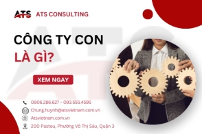 Công ty con là gì?