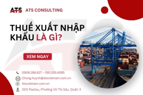Thuế xuất nhập khẩu là gì?